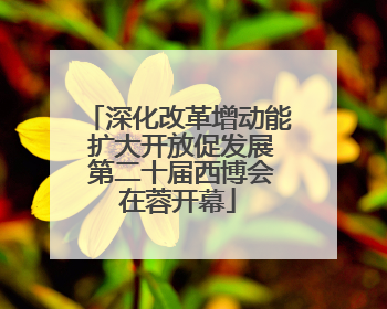 深化改革增动能 扩大开放促发展 第二十届西博会在蓉开幕