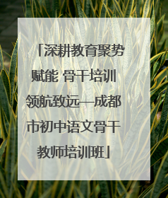 深耕教育聚势赋能 骨干培训领航致远—成都市初中语文骨干教师培训班