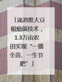 渑池推大豆根瘤菌技术，1.3万亩农田实现“一播全苗、一生节肥”