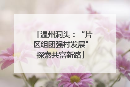温州洞头：“片区组团强村发展”探索共富新路