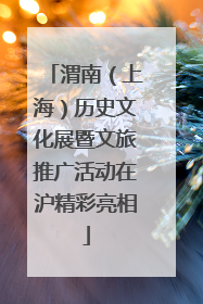 渭南（上海）历史文化展暨文旅推广活动在沪精彩亮相