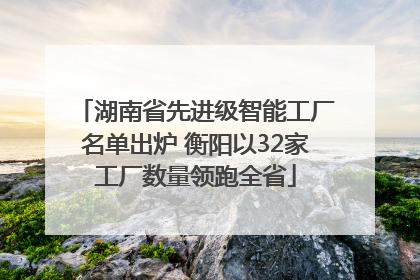 湖南省先进级智能工厂名单出炉 衡阳以32家工厂数量领跑全省
