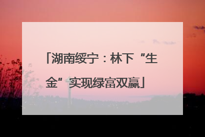 湖南绥宁：林下“生金”实现绿富双赢