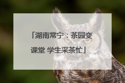 湖南常宁：茶园变课堂 学生采茶忙