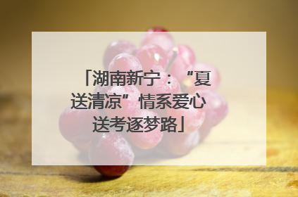 湖南新宁：“夏送清凉”情系爱心送考逐梦路