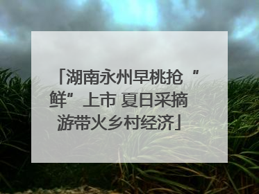 湖南永州早桃抢“鲜”上市 夏日采摘游带火乡村经济