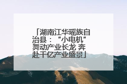 湖南江华瑶族自治县：“小电机”舞动产业长龙 奔赴千亿产业盛景