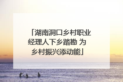 湖南洞口乡村职业经理人下乡踏勘 为乡村振兴添动能