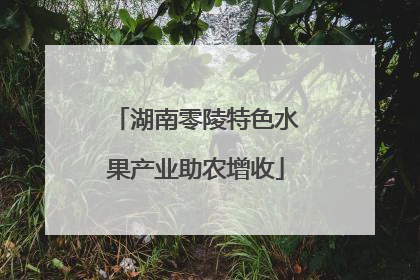 湖南零陵特色水果产业助农增收