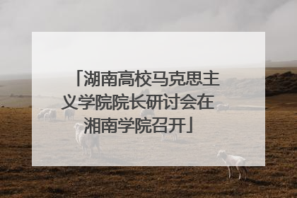 湖南高校马克思主义学院院长研讨会在湘南学院召开