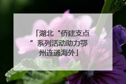 湖北“侨建支点”系列活动助力鄂州连通海外