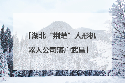 湖北“荆楚”人形机器人公司落户武昌