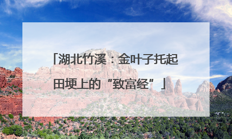 湖北竹溪：金叶子托起田埂上的“致富经”