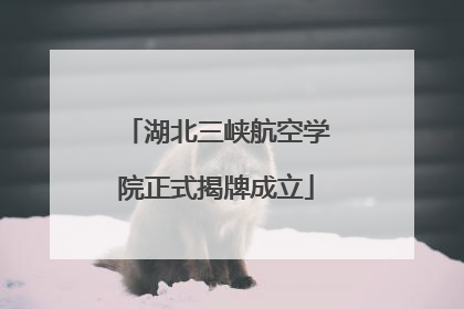 湖北三峡航空学院正式揭牌成立