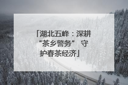 湖北五峰：深耕“茶乡警务” 守护春茶经济