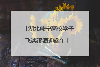 湖北咸宁高校学子飞桨逐浪迎端午