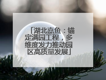 湖北嘉鱼：锚定满园工程，多维度发力推动园区高质量发展