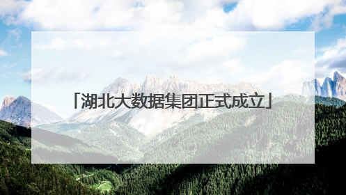 湖北大数据集团正式成立