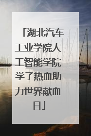 湖北汽车工业学院人工智能学院学子热血助力世界献血日