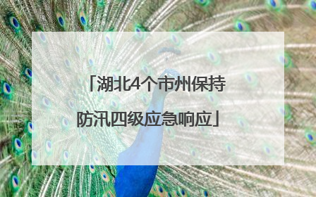 湖北4个市州保持防汛四级应急响应