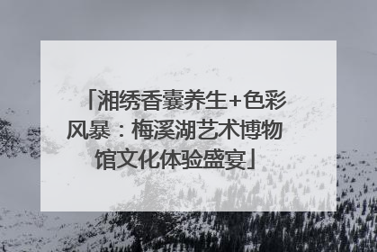 湘绣香囊养生+色彩风暴：梅溪湖艺术博物馆文化体验盛宴