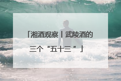 湘酒观察丨武陵酒的三个“五十三 ”