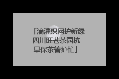 滴灌织网护新绿 四川旺苍茶园抗旱保茶管护忙