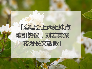演唱会上两姐妹点歌引热议，刘若英深夜发长文致歉