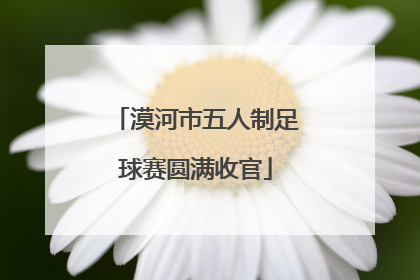 漠河市五人制足球赛圆满收官