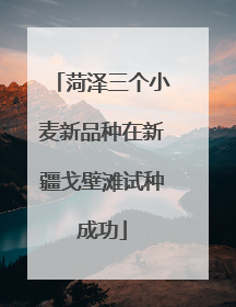 菏泽三个小麦新品种在新疆戈壁滩试种成功