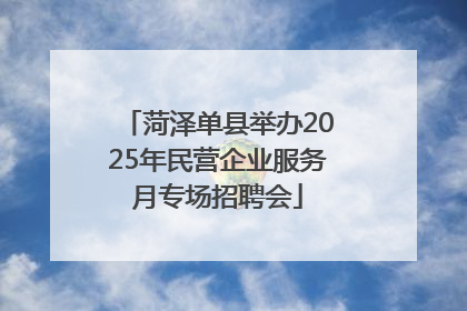 菏泽单县举办2025年民营企业服务月专场招聘会