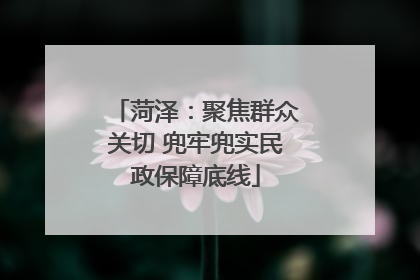 菏泽：聚焦群众关切 兜牢兜实民政保障底线