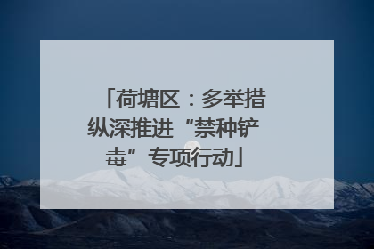 荷塘区：多举措纵深推进“禁种铲毒”专项行动