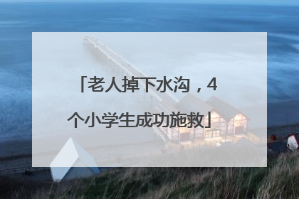 老人掉下水沟，4个小学生成功施救