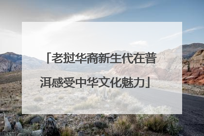 老挝华裔新生代在普洱感受中华文化魅力