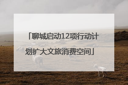 聊城启动12项行动计划扩大文旅消费空间