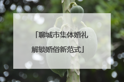 聊城市集体婚礼解锁婚俗新范式