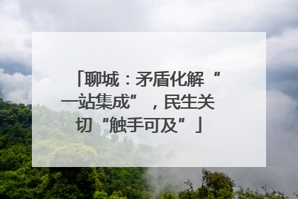 聊城：矛盾化解“一站集成”，民生关切“触手可及”