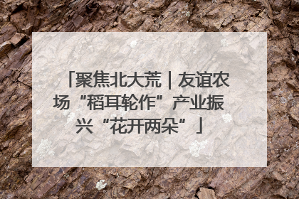 聚焦北大荒｜友谊农场“稻耳轮作”产业振兴“花开两朵”