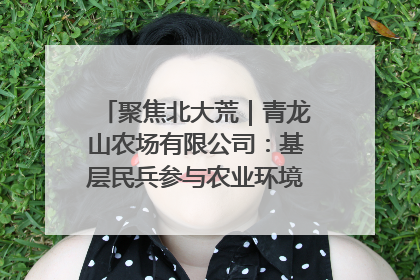 聚焦北大荒｜青龙山农场有限公司：基层民兵参与农业环境综合治理显效