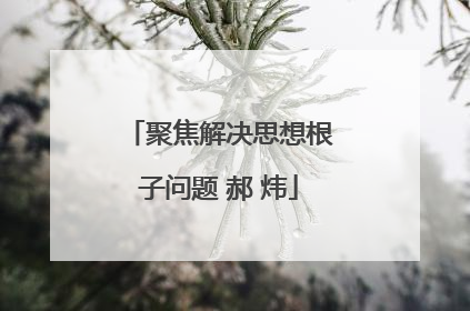 聚焦解决思想根子问题 郝 炜