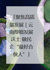 聚焦高质量发展｜云南厚植发展沃土 做民企“最好合伙人”
