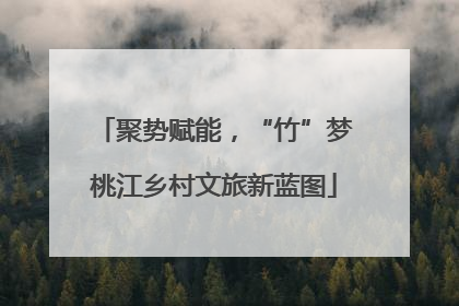 聚势赋能，“竹”梦桃江乡村文旅新蓝图