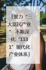 聚力“三大富民产业” 不断深化“1131”现代化产业体系