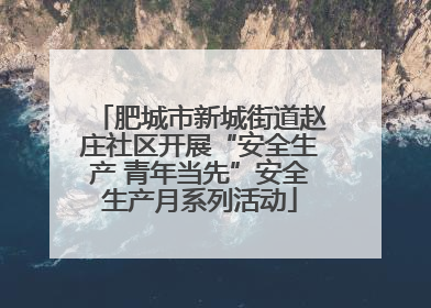 肥城市新城街道赵庄社区开展“安全生产 青年当先”安全生产月系列活动