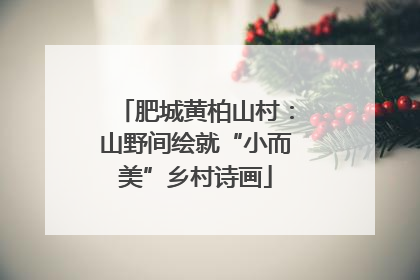 肥城黄柏山村：山野间绘就“小而美”乡村诗画