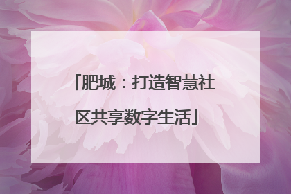 肥城：打造智慧社区共享数字生活