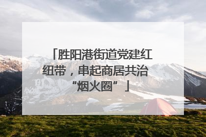 胜阳港街道党建红纽带，串起商居共治 “烟火圈”