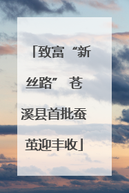 致富“新丝路” 苍溪县首批蚕茧迎丰收