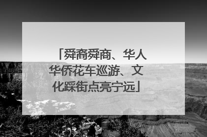 舜裔舜商、华人华侨花车巡游、文化踩街点亮宁远